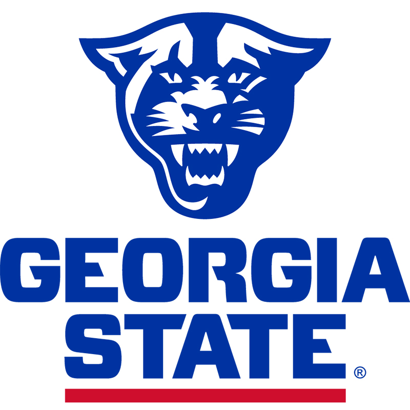 Georgia State Panthers iron ons